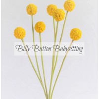 Billy Button Babysitting Agency logo - Similar company to Dream Nannies - Nanny & Au Pair Agency