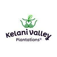 KVPL logo - Similar company to Kv Placement