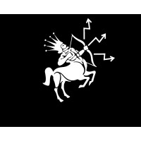 Digital Alpha Consulting logo - Similar company to Cargoos