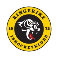 Ringerike Panthers logo - Similar company to Sec Datacom Norge