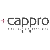 Cappro Consulting Services logo - Similar company to Cap Pro Net