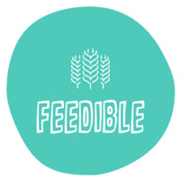 Feedible logo - Similar company to Mindswap