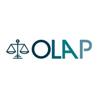 OLAP logo - Similar company to Olap Solutions