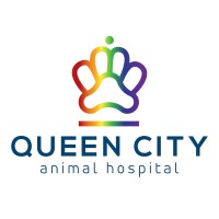 Queen City Animal Hospital, Pllc