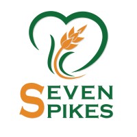 SEVEN SPIKES logo - Similar company to Merciful Giving