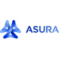 ASURA logo - Similar company to Dealer Systems