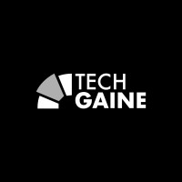TECHGAINE logo - Similar company to Grupo Criptana