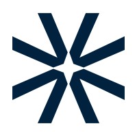 Veerless logo - Similar company to Phronesis Analytics