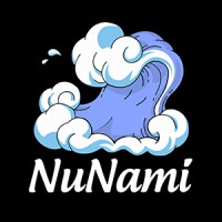 NuNami logo - Similar company to Earthsoft Technologies Pvt Ltd
