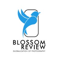 Blossom Review Pvt. Ltd. logo - Similar company to Jobrok.Com