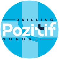 Pozitif Sondaj logo - Similar company to Petropoint