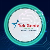 Tek Genie Services Private Limited logo - Similar company to Cyber Korp
