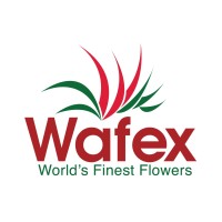 Wafex USA logo - Similar company to Maximum Flowers