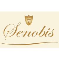 Senobis logo - Similar company to Park Solution Aps (Ps Solution Aps)