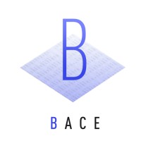 BACE logo - Similar company to Sl Lashes