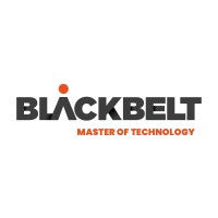 BlackBelt Technology Kft. logo - Similar company to Mikrum
