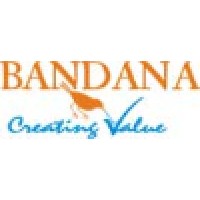 Bandana Infotech logo - Similar company to Bandana  Digitals