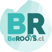 BeROOTS logo - Similar company to C & A Blue Logistics Spa