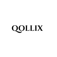 Qollix logo - Similar company to Workvalues
