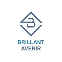 Brillant Avenir Private Limited logo - Similar company to Brillant Avenir Group