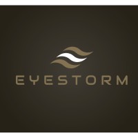 Eyestorm Investments logo - Similar company to Rse Global
