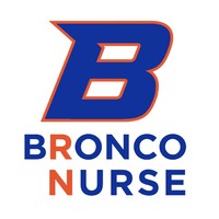 Boise State University School of Nursing logo - Similar company to American Molecular Laboratories