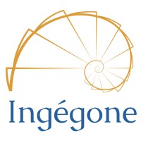 Ingegone logo - Similar company to Jalbgroup