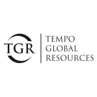 Tempo Global Resources logo - Similar company to Work Friendly