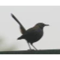 Brudirect.Com/ Publicity & Media Services