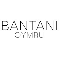 Bantani Cymru logo - Similar company to Bantani Education