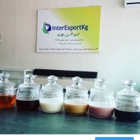 InterExportKG logo - Similar company to Abdysh-Ata Llc