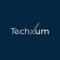 Techxum logo - Similar company to Danya Solutions