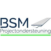BSM Projectondersteuning logo - Similar company to Fusion Developments