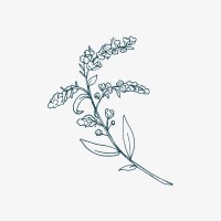 Goldenrod Design Co. logo - Similar company to Brookhouse