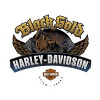 Black Gold Harley-Davidson logo - Similar company to Pill In Trip