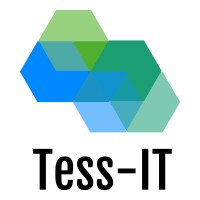 Tess-IT logo - Similar company to Itlight