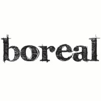Boreal Edições logo - Similar company to Mondru Editora