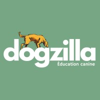 Dogzilla Éduc logo - Similar company to C'Est Plus Canin & Cie