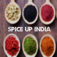 SPICE UP INDIA logo - Similar company to Spice Rush