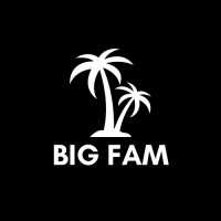 Big Fam Records logo - Similar company to Patrick Cassidy Music