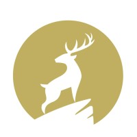 Advice in Motion GmbH