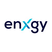 Enxgy logo - Similar company to Learnixhub