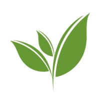 Yonsei Tea Club