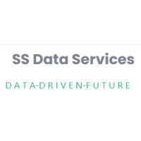 SS Data Services logo - Similar company to Ss Data Solutions