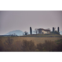 Scarpetta Wine logo - Similar company to Activinstinct