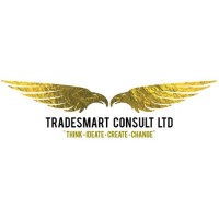 TradeSmart Consult Ltd logo - Similar company to Toupesu