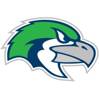 Spring Hill Hawks logo - Similar company to Tomsche, Sonnesyn & Tomsche, Pa