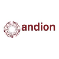 Andion Business Solutions