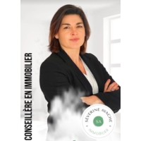 Séverine Ayache Immobilier logo - Similar company to Spriing