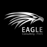 Eagle Consulting - FSMS logo - Similar company to Hyperrisk Solutions